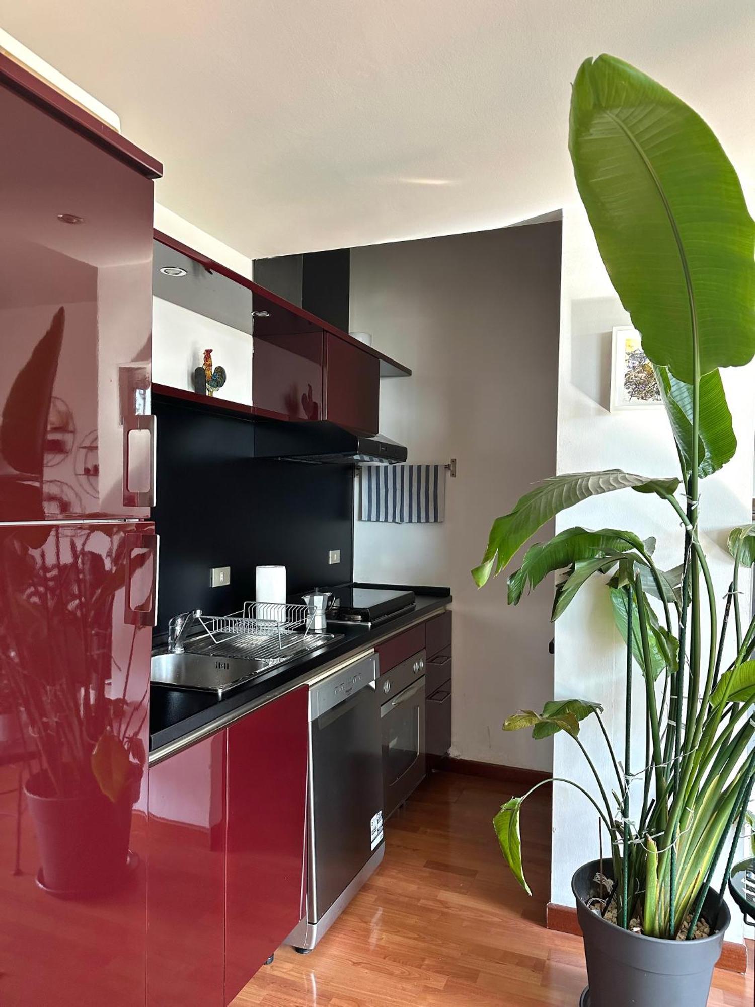 Apartmán Urban Jungle - Attico Vista Duomo Milán Exteriér fotografie