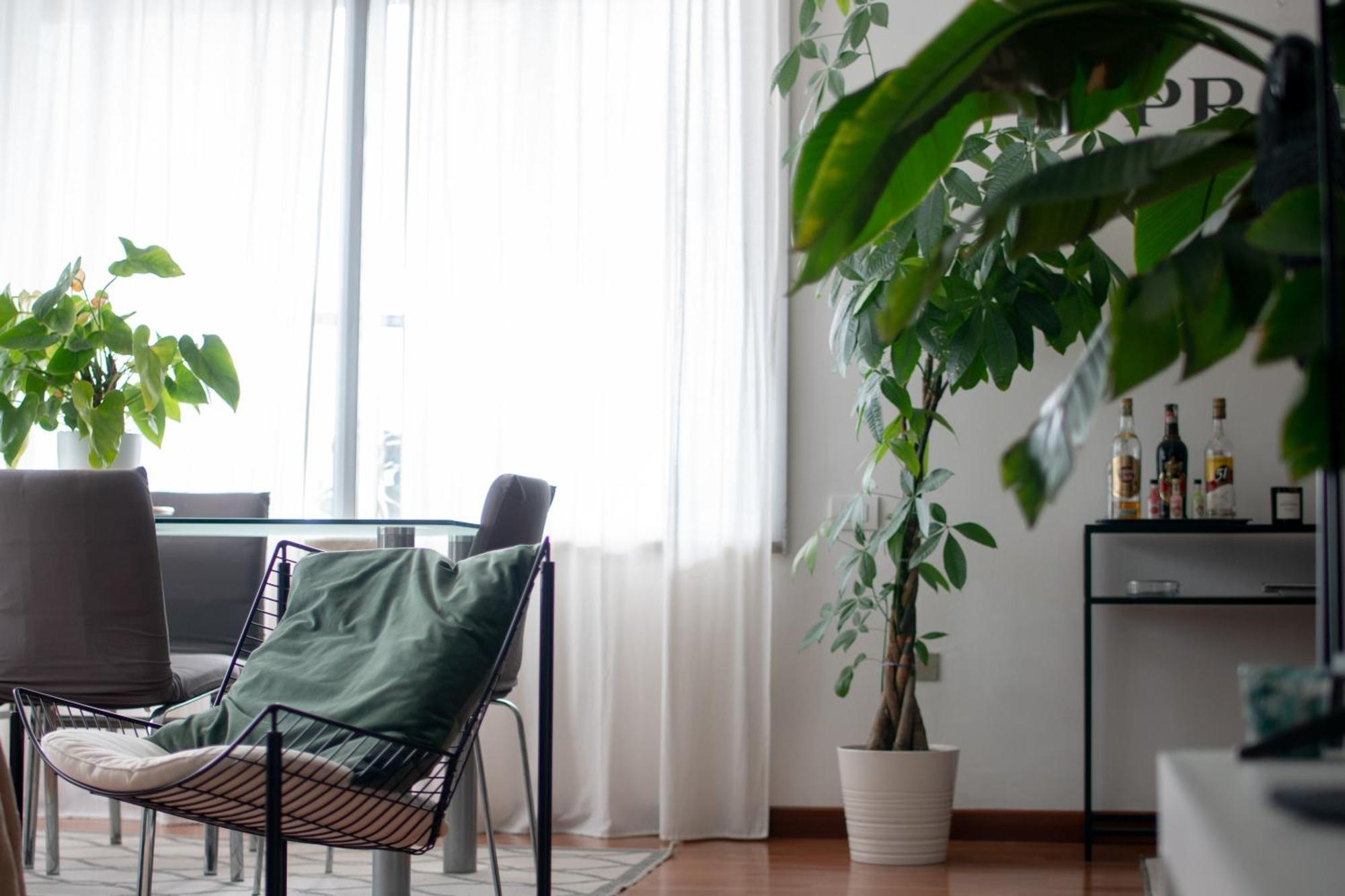 Apartmán Urban Jungle - Attico Vista Duomo Milán Exteriér fotografie