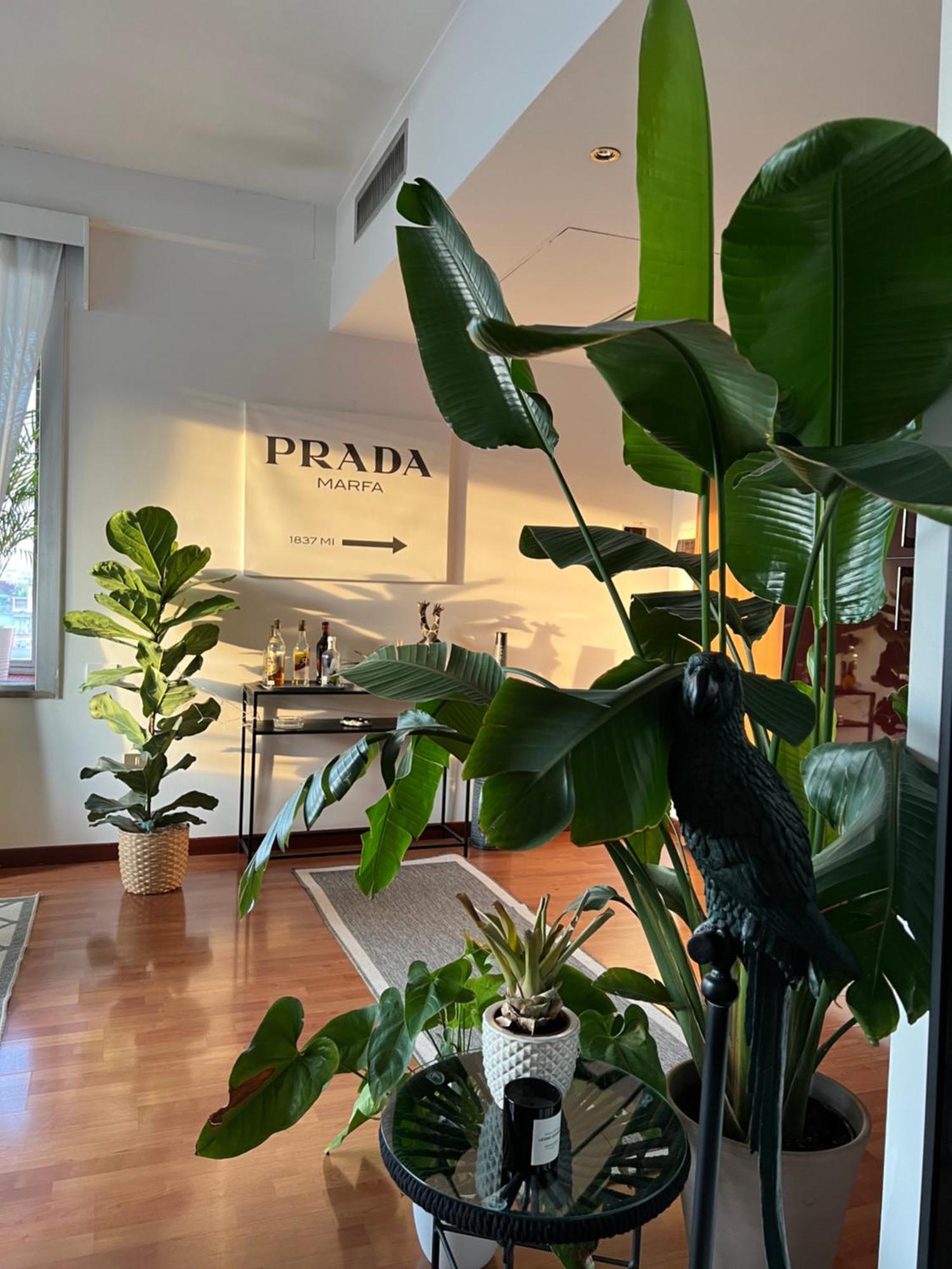 Apartmán Urban Jungle - Attico Vista Duomo Milán Exteriér fotografie